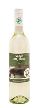 Steirischer Junker 2025