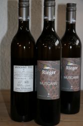 Bild von BIO Wein Muscaris 0,75L