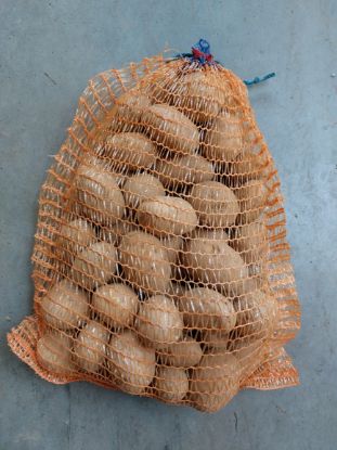 Bild von Salome - 3 kg Kartoffel (fest-kochend)