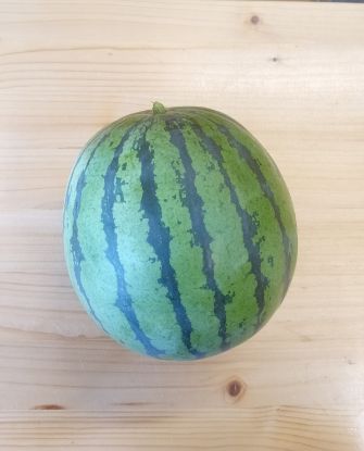 Bild von Melonen p. Stk.