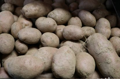 Zeige Details für Kartoffel "Laura " 2 kg Bild von Kartoffel "Laura " 2 kg