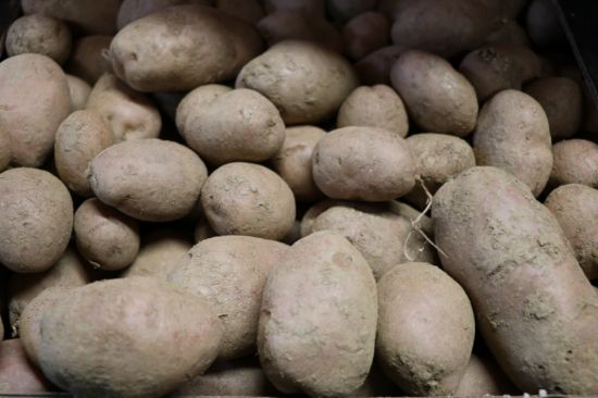 Picture of Kartoffel "Laura " 2 kg 