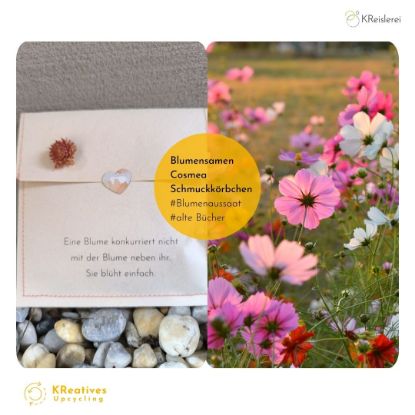 Show details for Geschenkkuvert_Blumensaat Picture of Geschenkkuvert_Blumensaat