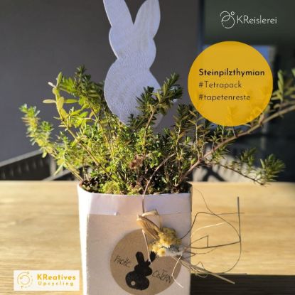 Bild von Ostern - Tetrapack Übertopf Steinpilzthymian