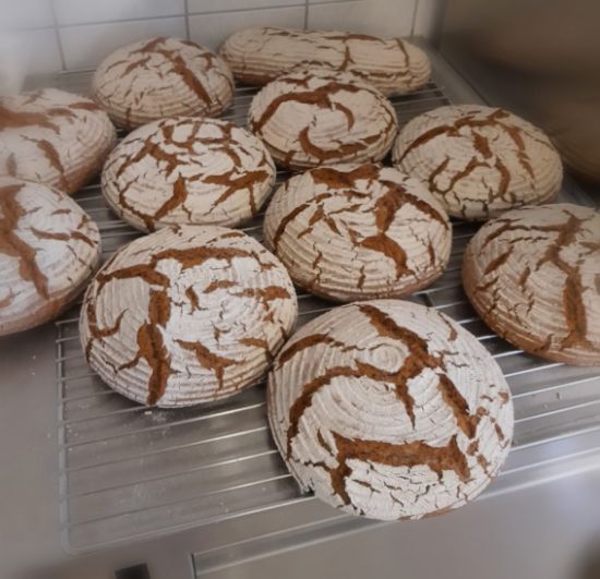 Bild von -50% 1/2 Bio-Roggenbrot